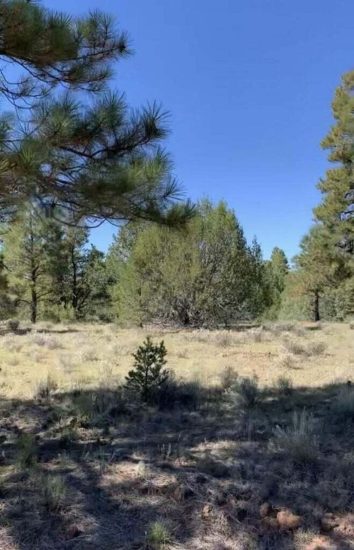 0 Cerro Leonides Rd, Grants, NM, 87020 | Card Image