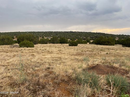 67 Hickory Ln, Concho, AZ, 85924 | Card Image