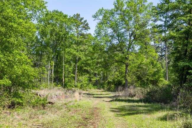 1 County Rd, Home with 0 bedrooms, 0 bathrooms and null parking in Leesburg TX | Image 17