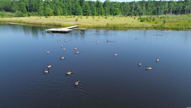 Water view with a forest and a floating dock | Image 22