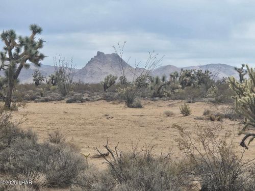 450 Kit Carson Rd, Yucca, AZ, 86438 | Card Image