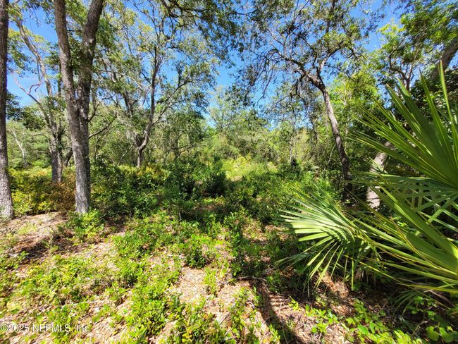 2155 State Road 40, Home with 0 bedrooms, 0 bathrooms and null parking in De Leon Springs FL | Image 72
