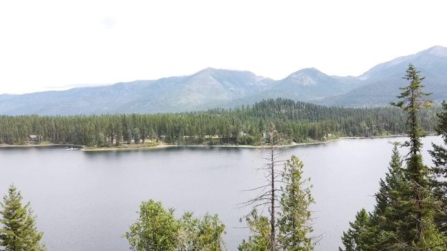 10 | Image 13