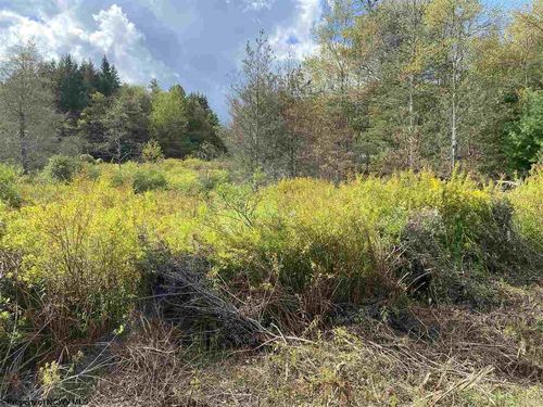 lot 47 Mountainview Dr, Davis, WV, 26260 | Card Image