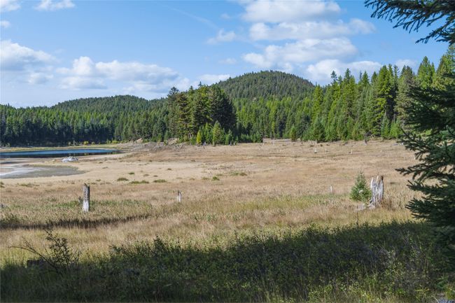 3217 Loon Lake Rd, Home with 0 bedrooms, 0 bathrooms and null parking in Trego MT | Image 23