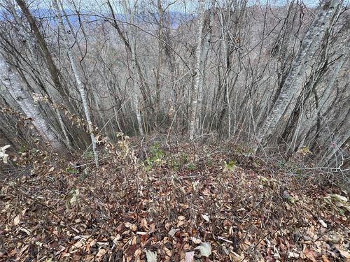 Lot 7 Deer Ridge Rd, Bryson City, NC, 28713 | Card Image
