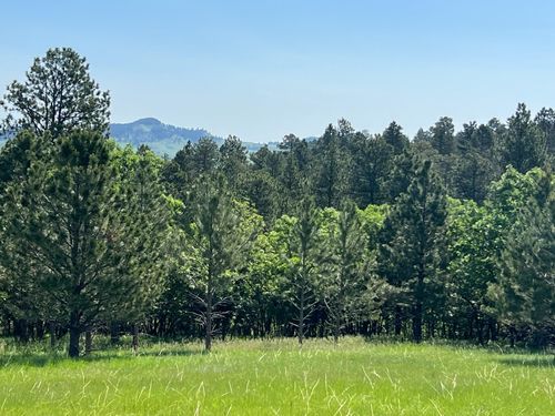 tbd lot 7 Niobrara Drive, Whitewood, SD, 57793 | Card Image