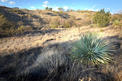 9-214 Tanglehead Ln, Patagonia, AZ, 85624 | Card Image