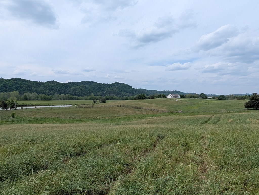 Land in Burkesville 2
