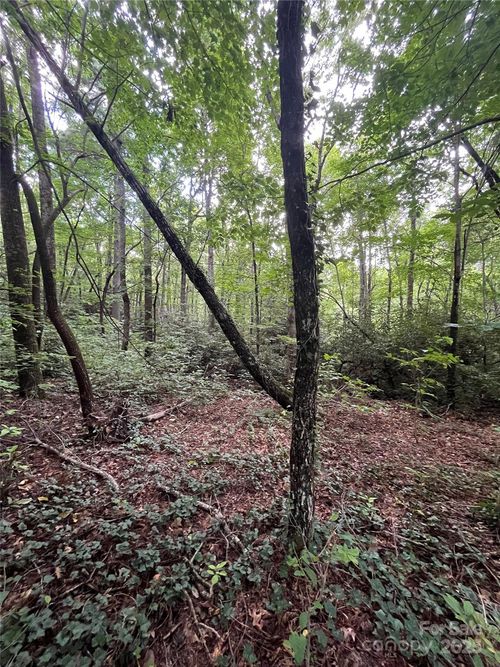 000 Greenleaf Dr, Flat Rock, NC, 28731 | Card Image