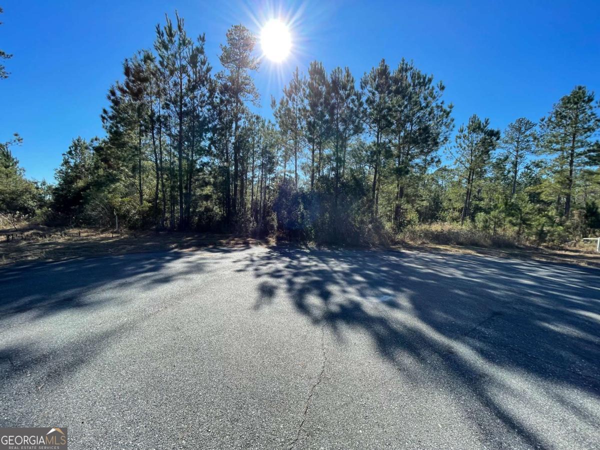 Land in Waynesville 5