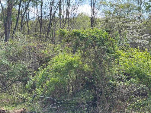 TBD Rush Rd, Carmichaels, PA, 15320 | Card Image