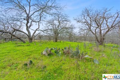 Lot 7 Tumbleweed Trail, Home with 0 bedrooms, 0 bathrooms and null parking in Dale TX | Image 3