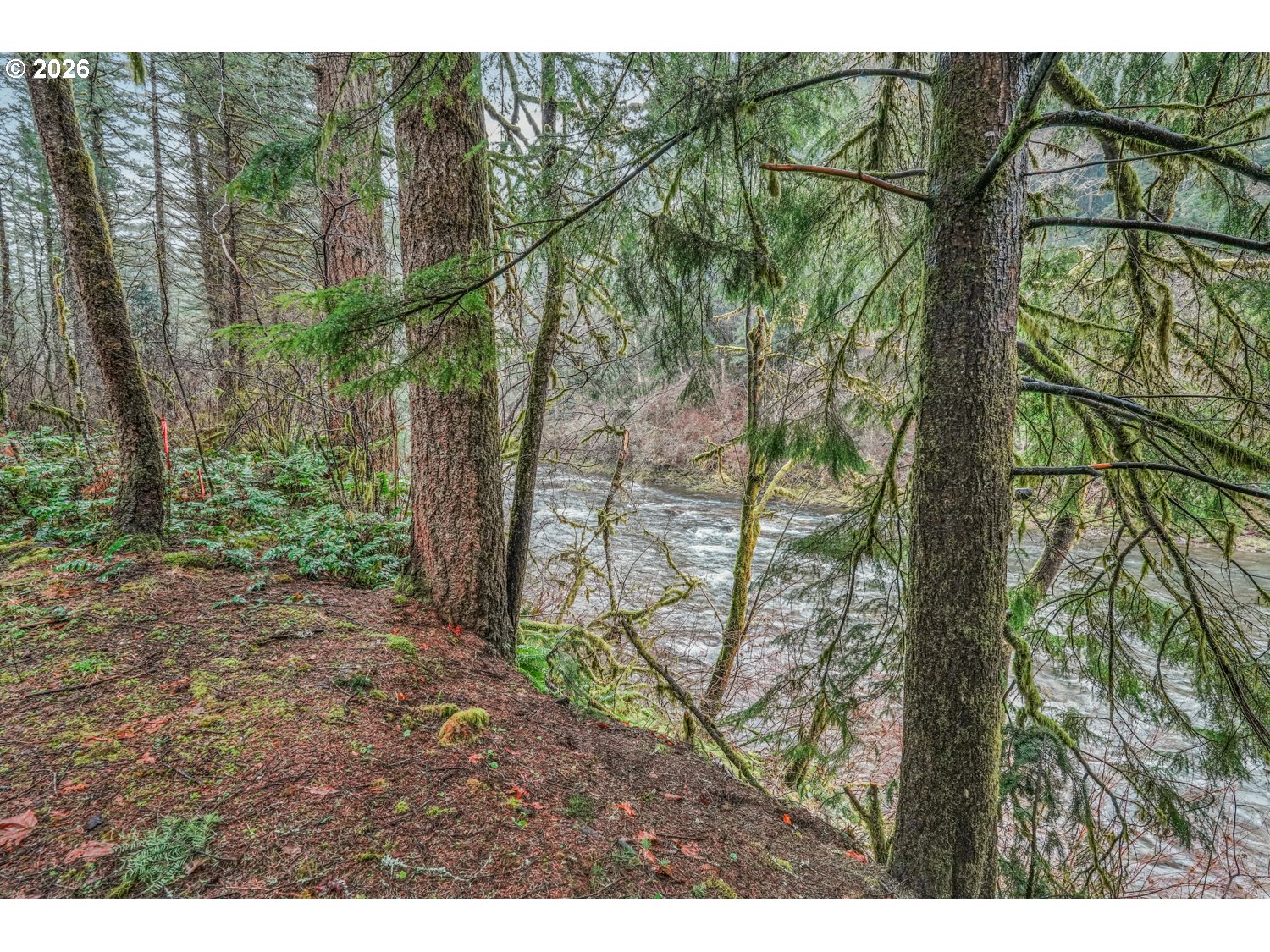Residential in Washougal 4