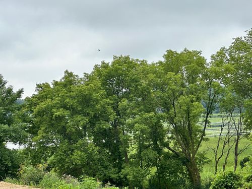 TBD County Road 43, Chaska, MN, 55318 | Card Image