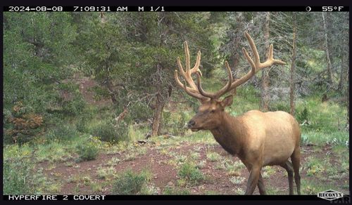 TBD Spanish Peaks Dr W, Aguilar, CO, 81020 | Card Image