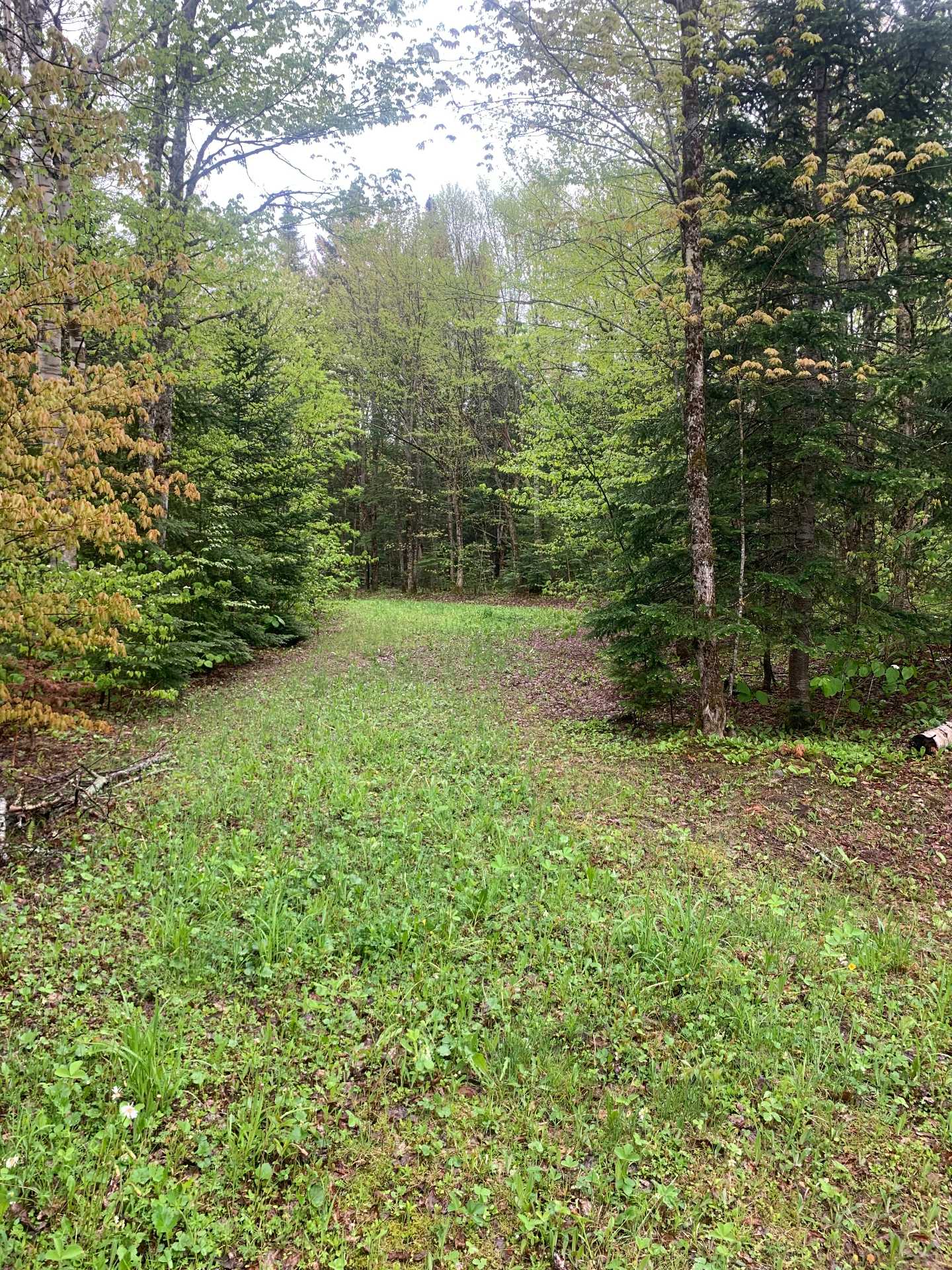 Land in Notre-Dame-des-Bois 2
