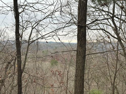 306 Oberlin Ct, Ranger, GA, 30734 | Card Image