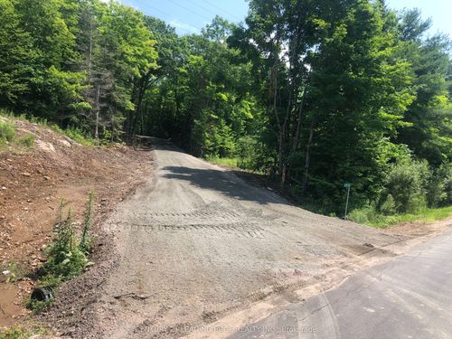 251 Shebeshekong Rd, Nobel, ON, P0G1G0 | Card Image