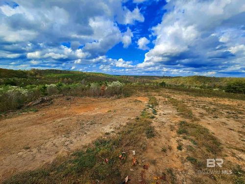0 County Road 79, Waterloo, AL, 36577 | Card Image
