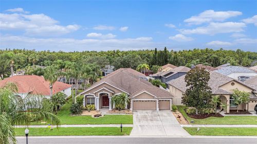 10019 Oxford Chapel Dr, TAMPA, FL, 33647-2871 | Card Image