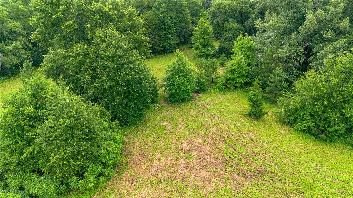 Land in Troup 2