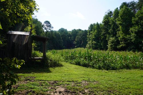 17 Pleasant View Cemetary Road, New Market, TN, 37820 | Card Image