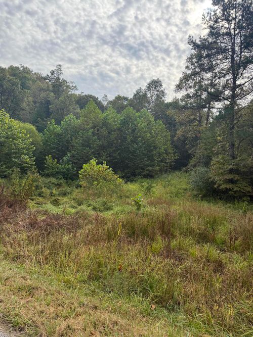 3319 Ky 847, Booneville, KY, 41314-7097 | Card Image