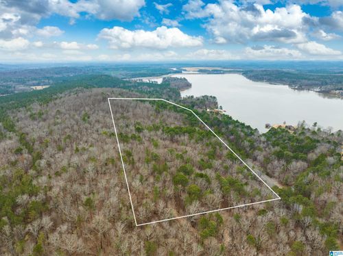 34-acres-mtn-tract-one-34 Acres- Mtn Constellation Drive, Alpine, AL, 35014 | Card Image