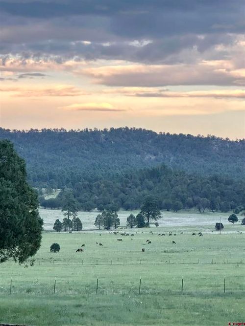 sky-ranch-200 Meadow Lane, Mimbres, NM, 88049 | Card Image