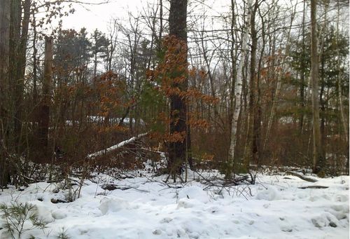 8 Mark Ave, Derry, NH, 03038 | Card Image