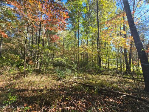 0 Horseshoe Bend Rd, Pennington Gap, VA, 24277 | Card Image