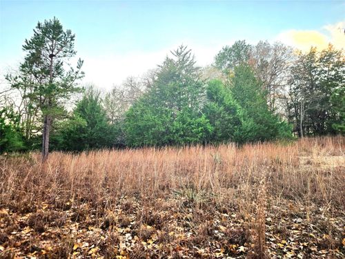 0 Mallard Way, Larue, TX, 75770 | Card Image