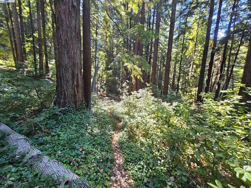 27 Old La Honda Rd, Woodside, CA, 94062 | Card Image