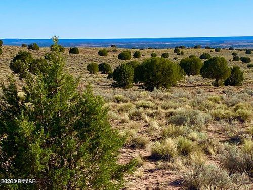 --River Concho Hwy, Concho, AZ, 85924 | Card Image