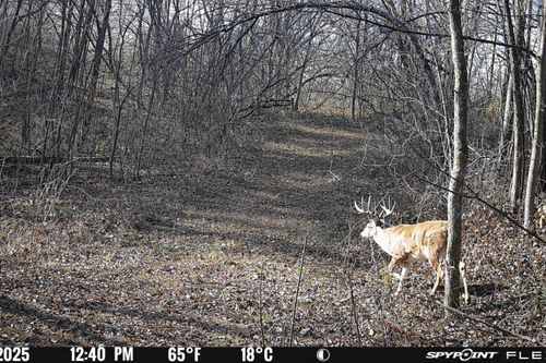 59 +/- Ac State Hwy 80, Orion, WI, 53581 | Card Image