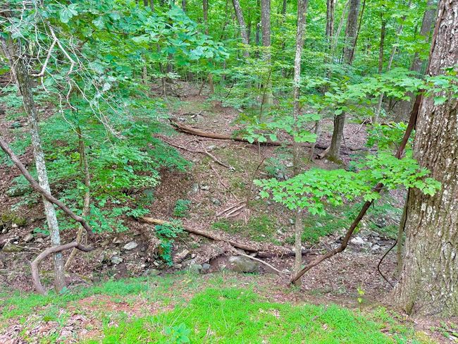 3238 Coffey Cove Dr, Home with 0 bedrooms, 0 bathrooms and null parking in Jasper GA | Image 6