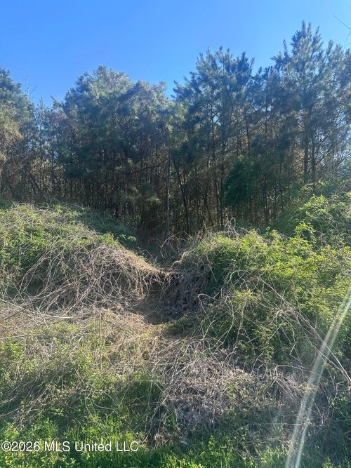 263 Humphrey Rd, Holly Springs, MS, 38635-8380 | Card Image