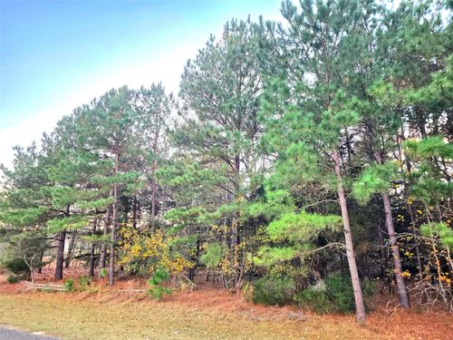 Lot 401 Mallard Way, LaRue, TX, 75770 | Card Image