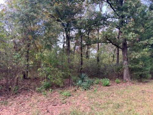 TBD Daniel Boone Ln, Malakoff, TX, 75148 | Card Image