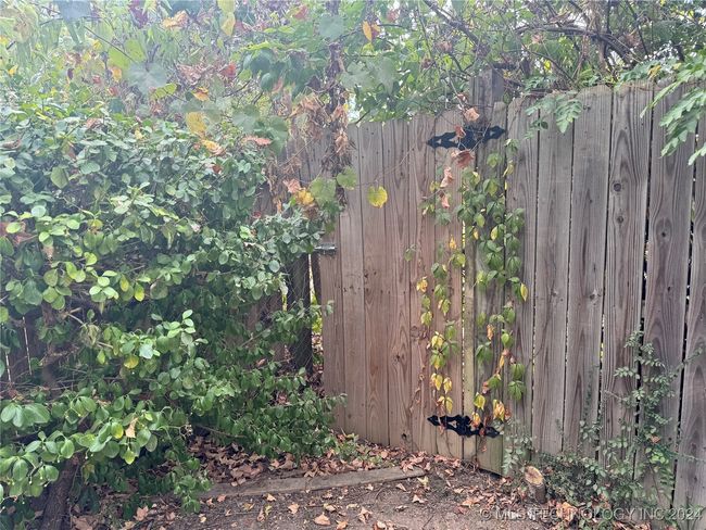 Privacy gate at back of property | Image 43