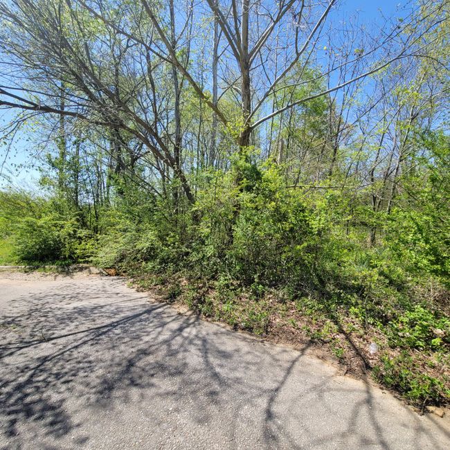 0 Majestic Dr, Home with 0 bedrooms, 0 bathrooms and null parking in Decherd TN | Image 5