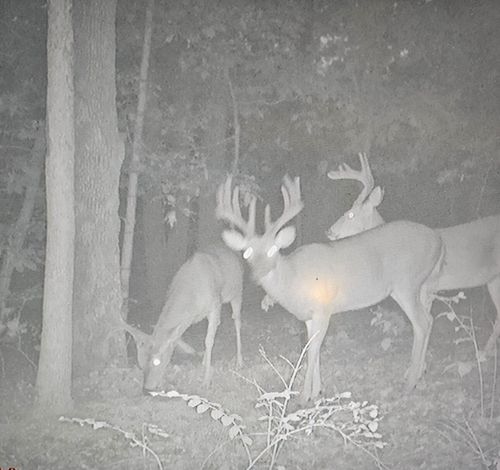 16033 Lawrence 2050, Miller, MO, 65707-7112 | Card Image