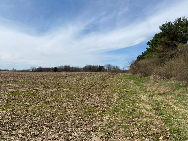 4500 S 42 Nd St, Home with 0 bedrooms, 0 bathrooms and null parking in Climax MI | Image 17