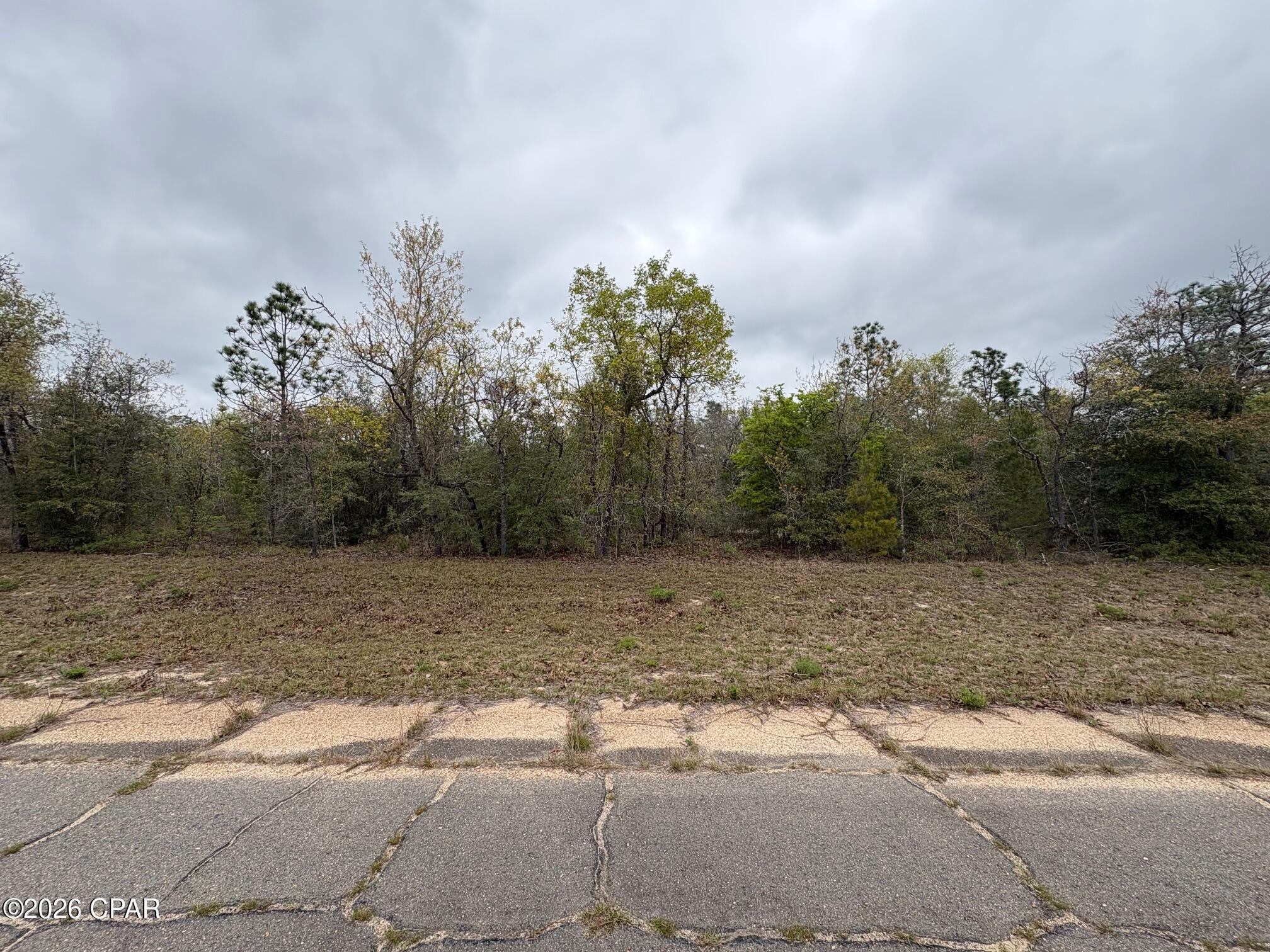 Land in Chipley 5