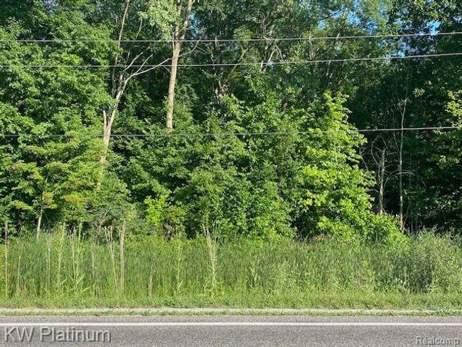 1 V/L Wadhams Road, Home with 0 bedrooms, 0 bathrooms and null parking in Kimball Township MI | Image 7