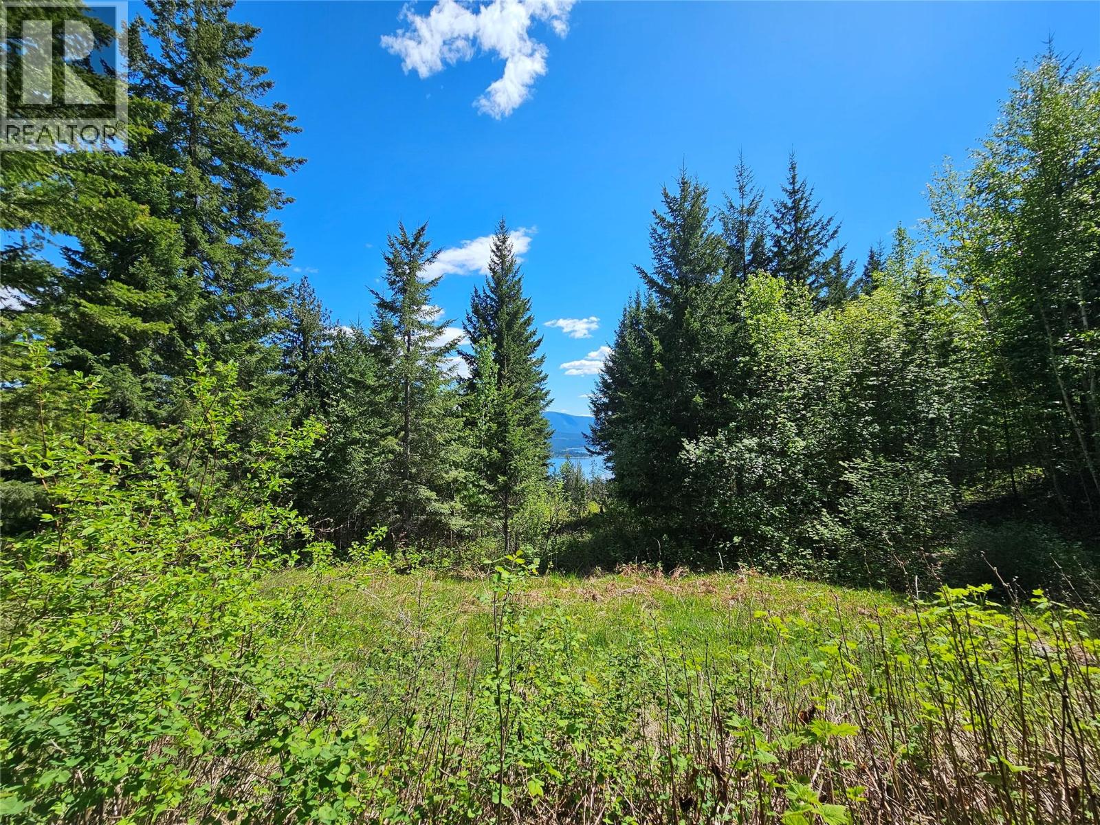 Land in Scotch Creek 5