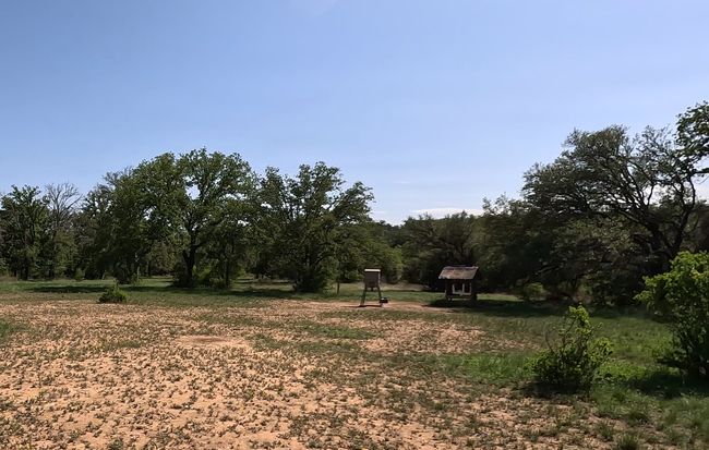 View of yard featuring a view of trees | Image 30