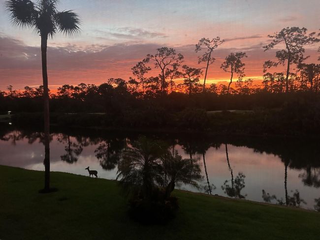 APT-3126 - 3800 Sawgrass Way, Condo with 2 bedrooms, 2 bathrooms and null parking in NAPLES FL | Image 22