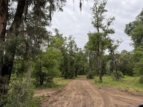 TBD Ne 127th Pl, Bronson, FL, 32621 | Card Image